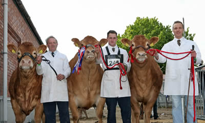Champion Group of Three from one exhibitor