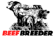 signet beefbreeder