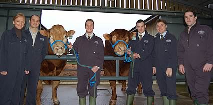 Ania Mikulska, Marketing Manager Top Farms; Stuart Boothman, Livestock Business Manager Cogent; Raymond Crawford; Stephen Crawford; Iain Kerr, CE British Limousin Cattle Society; Philip Crowe Powerful Genetics.