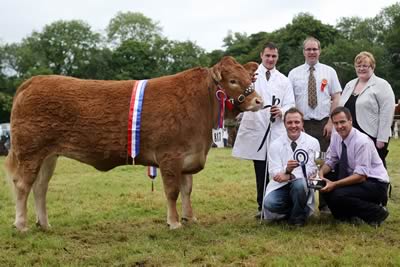 The Ulster Bank Limousin Champion at Clogher Show was Sarkley Bikita owned by Crawford Brothers, Maguiresbridge. Cormac McKervey, Senior Agricultural Manager, Ulster Bank is pictured front making a presentation to Raymond Crawford while looking on are Stephen Crawford, Herbie Crawford and Ann-Marie McCusker, Commercial Manager, Ulster Bank, Clogher.