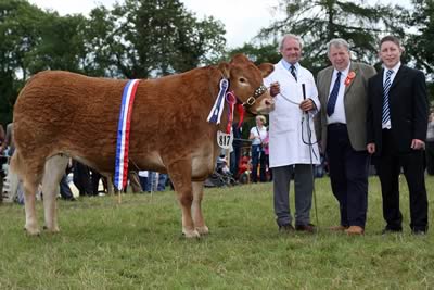 The Northern Bank Supreme Interbreed Beef Champion at Clogher Show was Sarkley Bikita owned by Crawford Brothers, Maguiresbridge. Herbie Crawford is pictured exhibiting the winner while Alan Fotheringham, Perth, Judge and Rodney Brown, Agri Business Manager, Northern Bank look on.