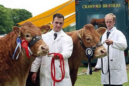 Interbreed Pairs Champions - Sarkley Bikita & Ravesinte