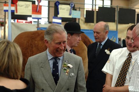 (hutch)prince001s-1.jpg