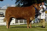 curraghree_amazing