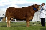 curraghree_patrice