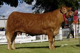 curraghree_sensation