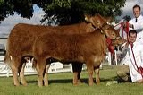curraghree_sensation2