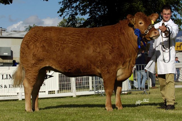 curraghree_amazing.jpg