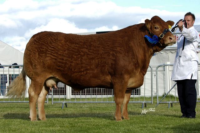 curraghree_patrice.jpg