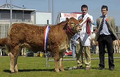 Ballymena 2009 - Slyvandene Duchess