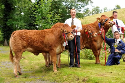 champion and reserve at clogher show