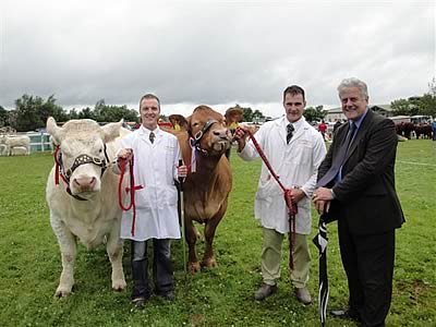 Champion Charolais and Champion Limousin with MEP Mr Jim Nickelson