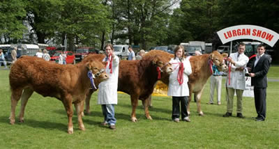 Lurgan Show