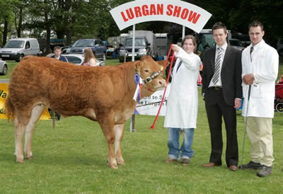 Lurgan Show
