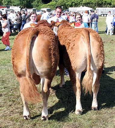 Reserve Interbreed Champion Pairs