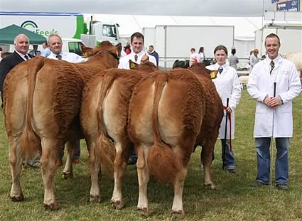 Omagh Show