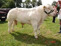 Rathkeeland Winston