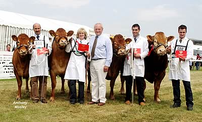 Junior Interbreed Team
