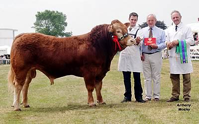 Stephen and Herbie Crawford being congratulated on winning the Junior Interbreed Championship by the Limousin Society President William Cowx