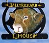 Ballyrickard Limousins