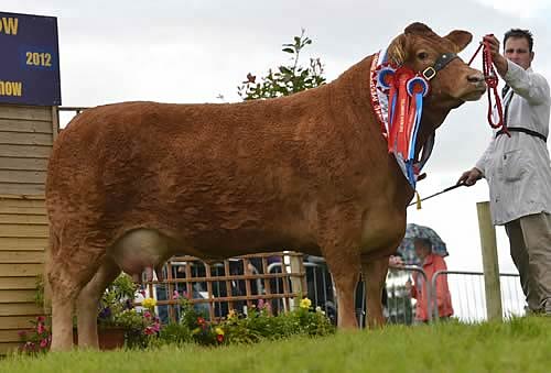 Clonlara Valance